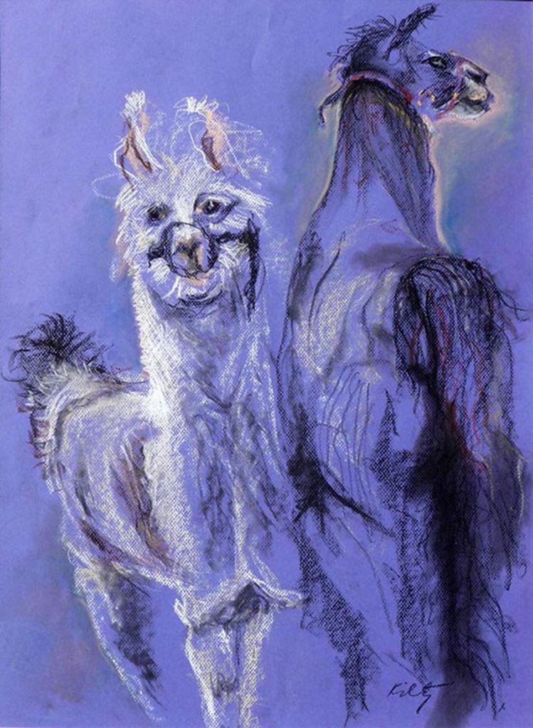 Mama Llama | Bobbi Kilty | Fine Artist