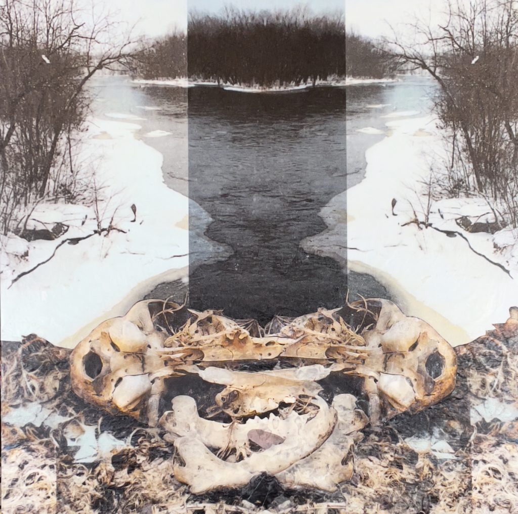 Submerged | encaustic painting | Bobbi Kilty | Fine Artist | Michigan