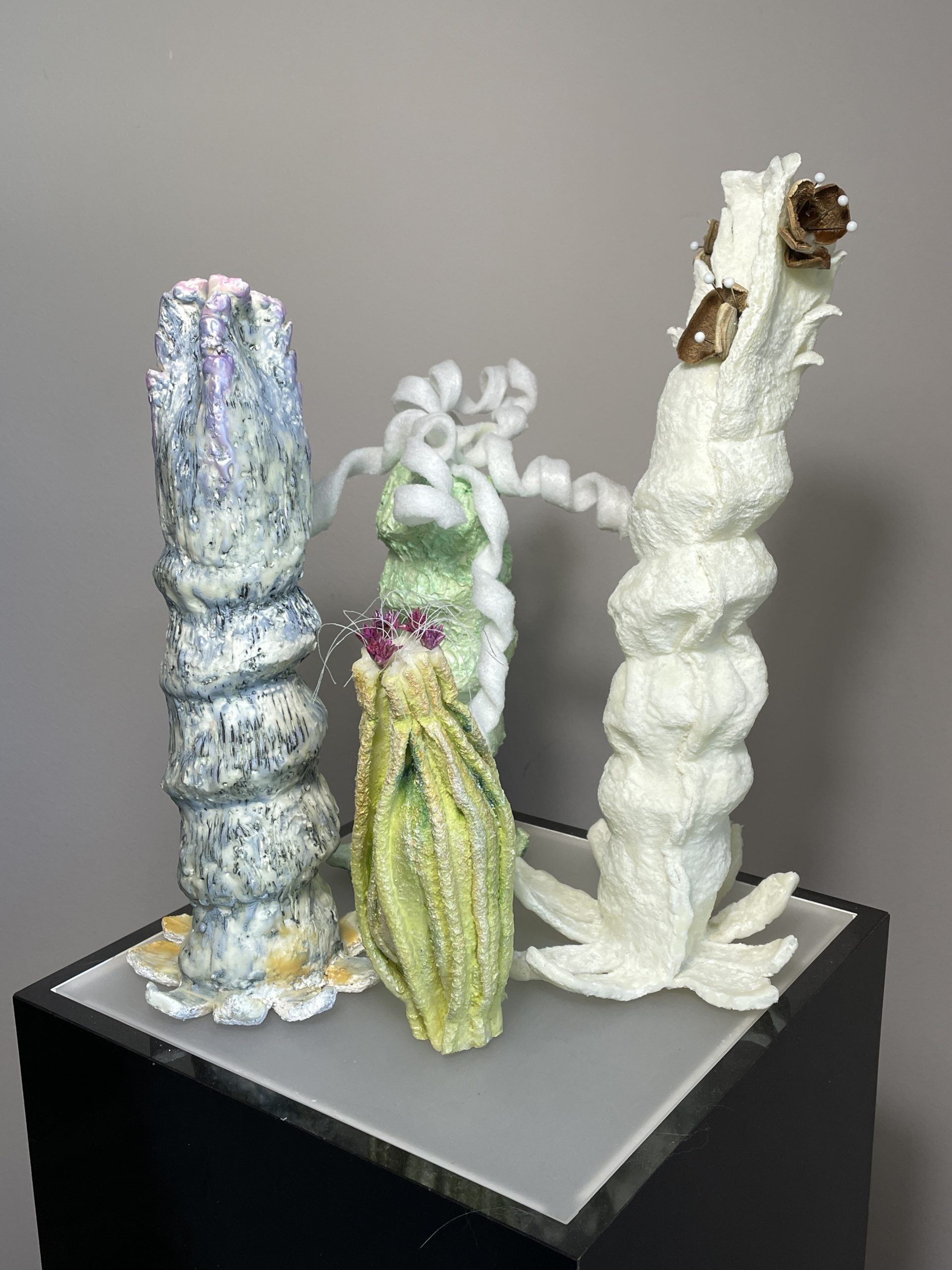 Cactus | Bobbi Kilty | Michigan Fine Artist